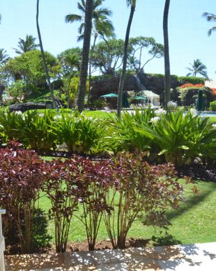 United States Hawaii Līhuʻe vacation rental compare prices direct by owner 209158