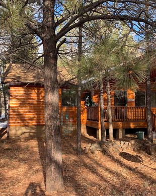 United States Arizona Navajo County vacation rental compare prices direct by owner 235194
