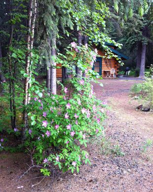 United States Alaska North Pole vacation rental compare prices direct by owner 3082080