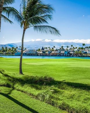 United States Hawaii Waikoloa Village vacation rental compare prices direct by owner 98050