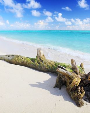 Maldives Ari Atholhu Uthuruburi Thoddoo vacation rental compare prices direct by owner 9218441