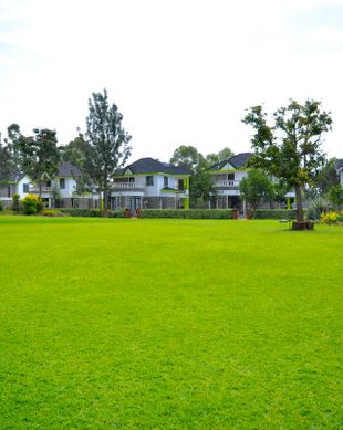 Kenya Vihiga County Gisambai vacation rental compare prices direct by owner 13633228