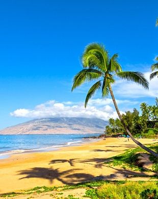United States Hawaii Kihei vacation rental compare prices direct by owner 2698456