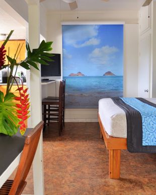 United States Hawaii Haleiwa vacation rental compare prices direct by owner 47599