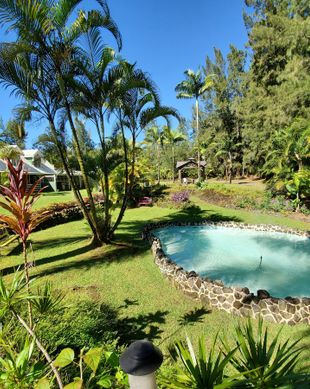 United States Hawaii Mountain View vacation rental compare prices direct by owner 46748