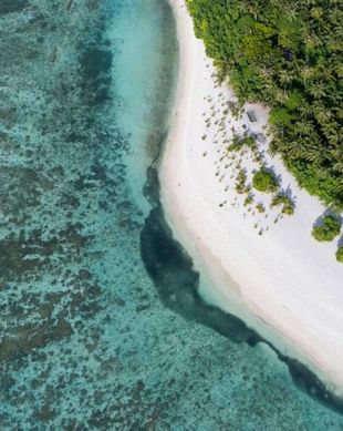 Maldives North Central Province Omadhoo vacation rental compare prices direct by owner 13406063
