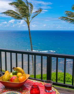 United States Hawaii Princeville vacation rental compare prices direct by owner 19471212