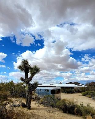 United States California Joshua Tree vacation rental compare prices direct by owner 142676