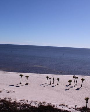 United States Mississippi Biloxi vacation rental compare prices direct by owner 1765106
