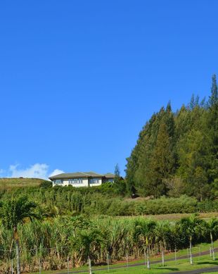 United States Hawaii Haiku-Pauwela vacation rental compare prices direct by owner 56271
