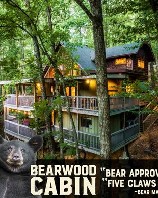 United States Tennessee Gatlinburg vacation rental compare prices direct by owner 10183022