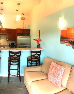 United States Hawaii Kapaa vacation rental compare prices direct by owner 55542
