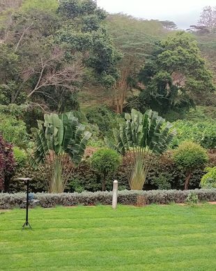 Kenya Nairobi Nairobi vacation rental compare prices direct by owner 5212153
