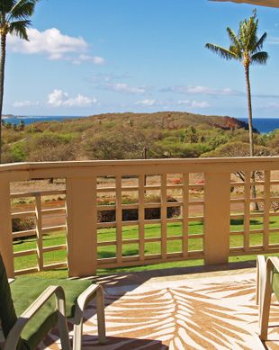 United States Hawaii Maunaloa vacation rental compare prices direct by owner 348297