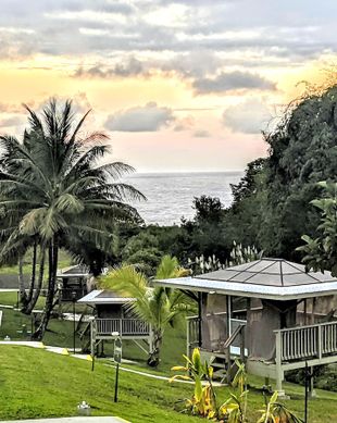 United States Hawaii Pepeekeo vacation rental compare prices direct by owner 46732