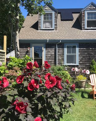 United States Massachusetts Falmouth vacation rental compare prices direct by owner 403180
