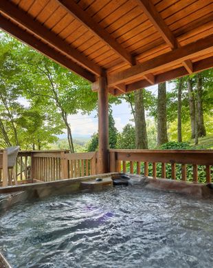 United States Tennessee Gatlinburg vacation rental compare prices direct by owner 23612487