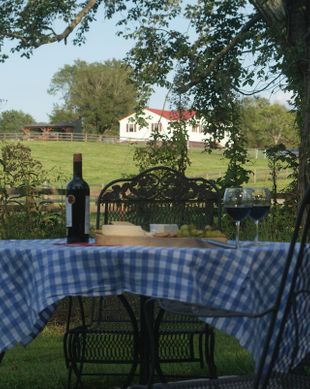 United States Virginia Madison vacation rental compare prices direct by owner 808048