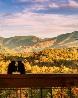 United States Tennessee Gatlinburg vacation rental compare prices direct by owner 2329543