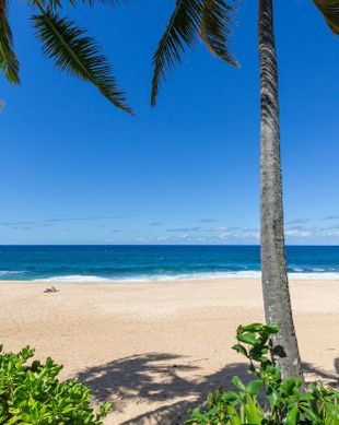 United States Hawaii Haleiwa vacation rental compare prices direct by owner 23667309