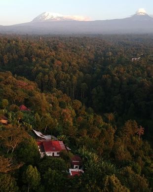 Tanzania Kilimanjaro Region Marangu vacation rental compare prices direct by owner 8342356