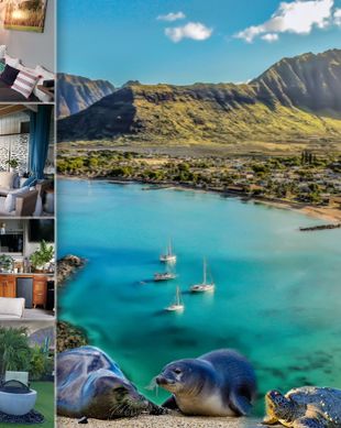 United States Hawaii Waianae vacation rental compare prices direct by owner 5559142