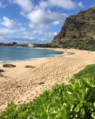 United States Hawaii Waianae vacation rental compare prices direct by owner 10739182