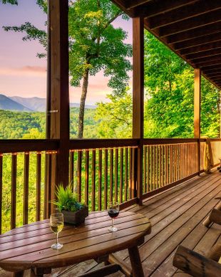 United States Tennessee Gatlinburg vacation rental compare prices direct by owner 10950148