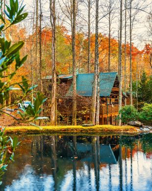 United States Tennessee Gatlinburg vacation rental compare prices direct by owner 10580347