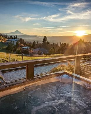 United States Washington White Salmon vacation rental compare prices direct by owner 24967402