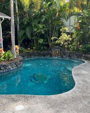 United States Hawaii Kailua-Kona vacation rental compare prices direct by owner 12564423