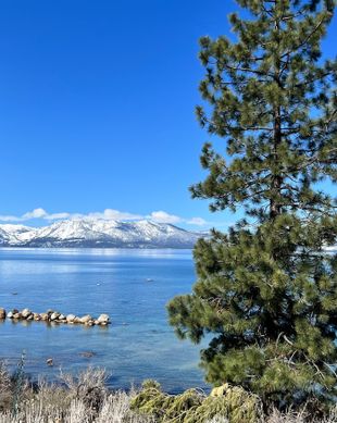 United States California South Lake Tahoe vacation rental compare prices direct by owner 13094778