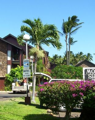 United States Hawaii Kaunakakai vacation rental compare prices direct by owner 15781741