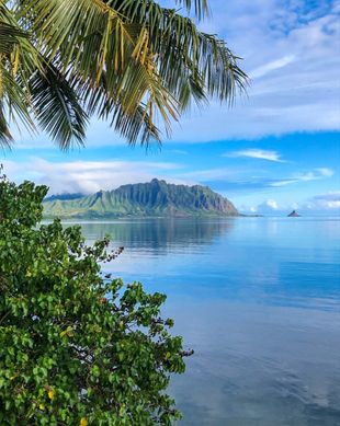 United States Hawaii Kaneohe vacation rental compare prices direct by owner 25793906
