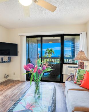 United States Hawaii Lihue vacation rental compare prices direct by owner 26561907