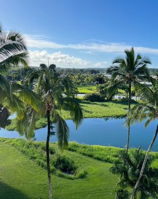 United States Hawaii Hilo vacation rental compare prices direct by owner 25006002