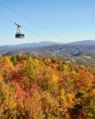 United States Tennessee Gatlinburg vacation rental compare prices direct by owner 26627236
