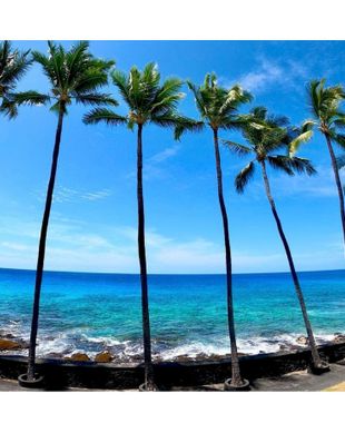 United States Hawaii Kailua-Kona vacation rental compare prices direct by owner 26631261