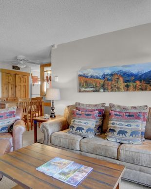 United States Colorado Steamboat Springs vacation rental compare prices direct by owner 19706587