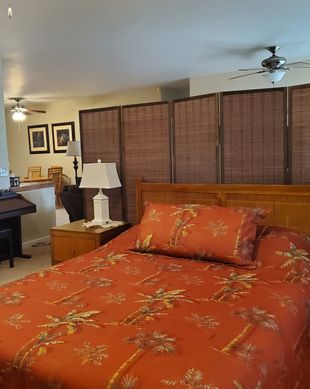 United States Hawaii Papaikou vacation rental compare prices direct by owner 27793265