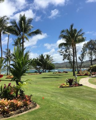 United States Hawaii Kapaa vacation rental compare prices direct by owner 29454