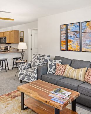United States Colorado Steamboat Springs vacation rental compare prices direct by owner 144418