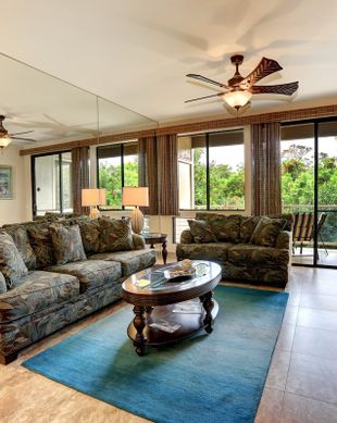 United States Hawaii Kihei vacation rental compare prices direct by owner 100695