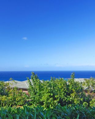 United States Hawaii Lahaina vacation rental compare prices direct by owner 38999