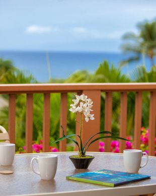 United States Hawaii Kihei vacation rental compare prices direct by owner 60095