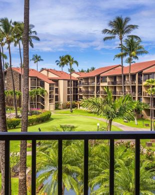 United States Hawaii Honokowai vacation rental compare prices direct by owner 59499