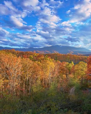 United States Tennessee Gatlinburg vacation rental compare prices direct by owner 15580464