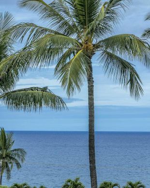 United States Hawaii Kihei vacation rental compare prices direct by owner 59381