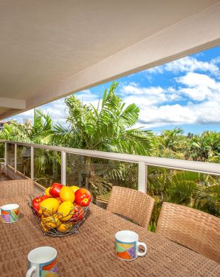 United States Hawaii Kihei vacation rental compare prices direct by owner 30503