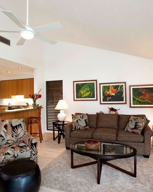 United States Hawaii Wailea, Maui vacation rental compare prices direct by owner 55155